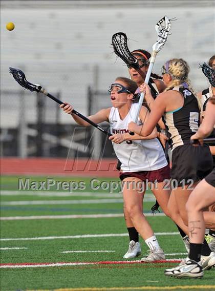 Thumbnail 3 in Walt Whitman @ Sachem North photogallery.