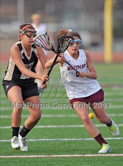 Thumbnail 3 in Walt Whitman @ Sachem North photogallery.