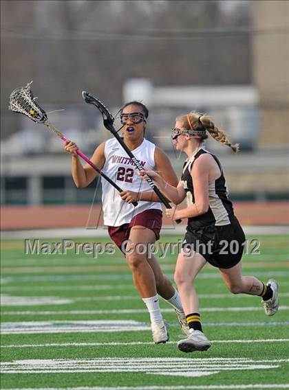 Thumbnail 3 in Walt Whitman @ Sachem North photogallery.
