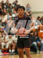 Photo from the gallery "Laguna Creek @ Monterey Trail"