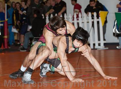 Thumbnail 3 in Tim Brown Wrestling Tournament - Day 2 photogallery.