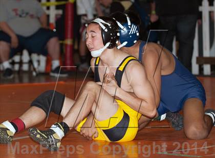 Thumbnail 1 in Tim Brown Wrestling Tournament - Day 2 photogallery.