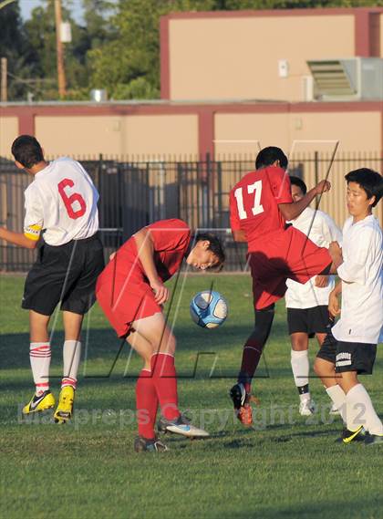 Thumbnail 1 in Antelope  @ Mira Loma photogallery.