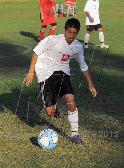 Thumbnail 1 in Antelope  @ Mira Loma photogallery.