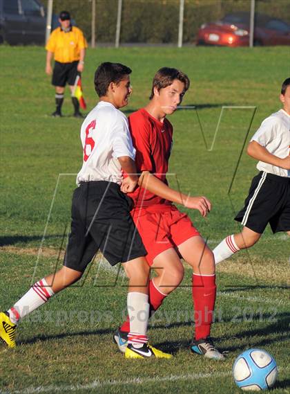 Thumbnail 2 in Antelope  @ Mira Loma photogallery.