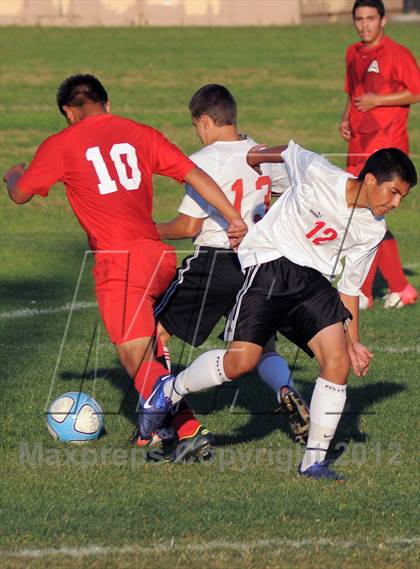 Thumbnail 3 in Antelope  @ Mira Loma photogallery.