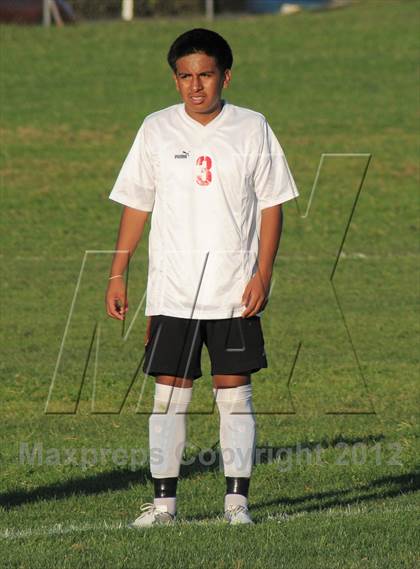 Thumbnail 1 in Antelope  @ Mira Loma photogallery.
