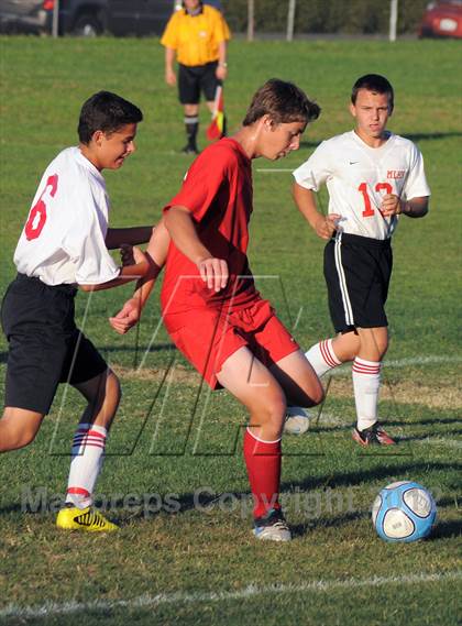 Thumbnail 1 in Antelope  @ Mira Loma photogallery.