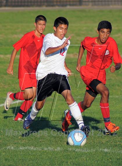 Thumbnail 2 in Antelope  @ Mira Loma photogallery.