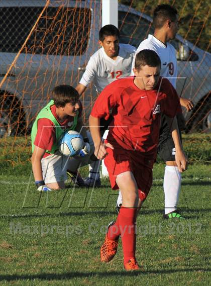 Thumbnail 3 in Antelope  @ Mira Loma photogallery.