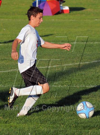 Thumbnail 1 in Antelope  @ Mira Loma photogallery.