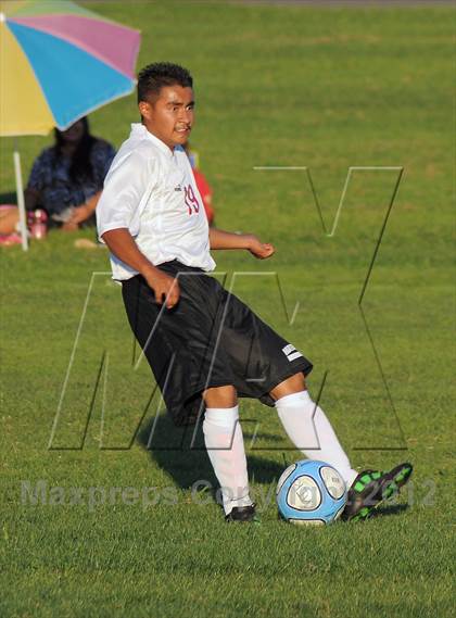 Thumbnail 3 in Antelope  @ Mira Loma photogallery.