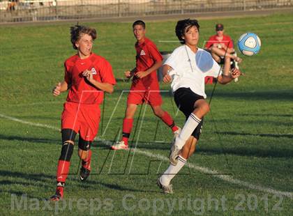 Thumbnail 2 in Antelope  @ Mira Loma photogallery.