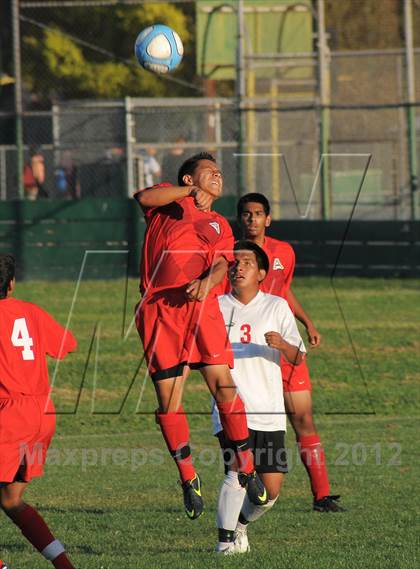 Thumbnail 3 in Antelope  @ Mira Loma photogallery.
