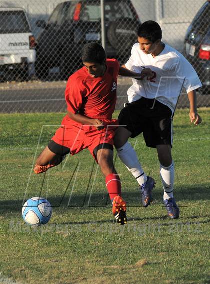 Thumbnail 1 in Antelope  @ Mira Loma photogallery.