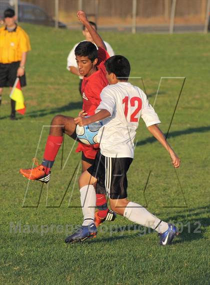 Thumbnail 1 in Antelope  @ Mira Loma photogallery.
