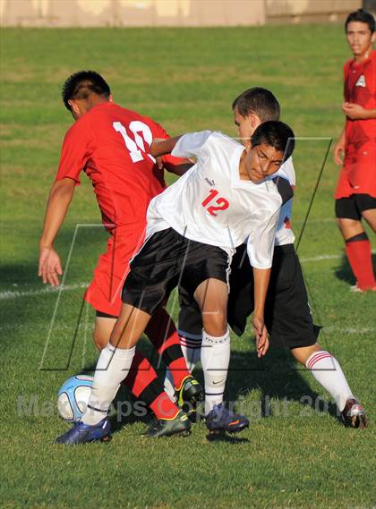 Thumbnail 2 in Antelope  @ Mira Loma photogallery.