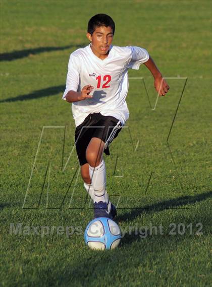 Thumbnail 1 in Antelope  @ Mira Loma photogallery.