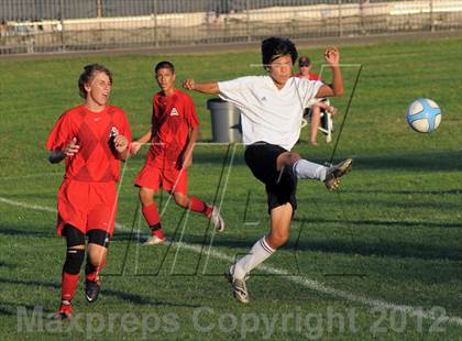 Thumbnail 3 in Antelope  @ Mira Loma photogallery.