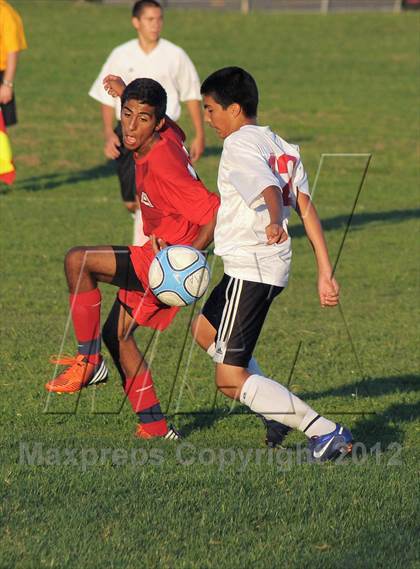 Thumbnail 2 in Antelope  @ Mira Loma photogallery.