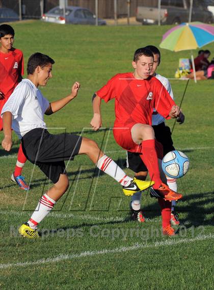 Thumbnail 1 in Antelope  @ Mira Loma photogallery.