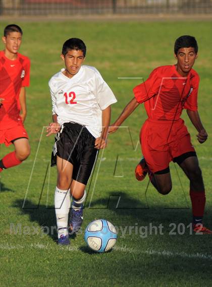 Thumbnail 3 in Antelope  @ Mira Loma photogallery.