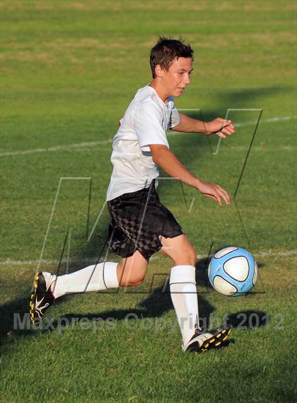 Thumbnail 2 in Antelope  @ Mira Loma photogallery.