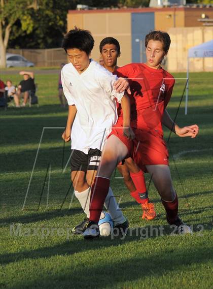 Thumbnail 3 in Antelope  @ Mira Loma photogallery.