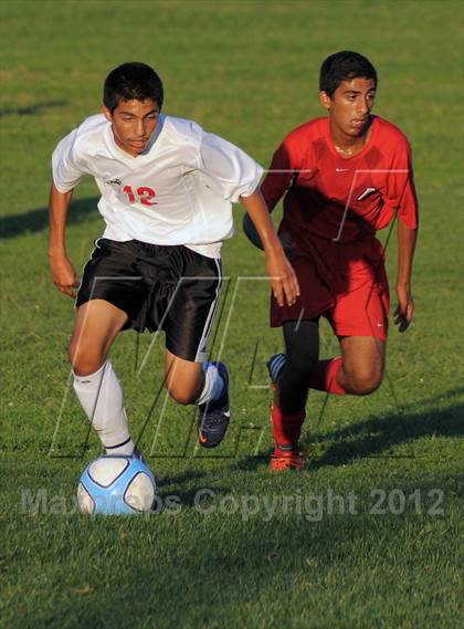 Thumbnail 3 in Antelope  @ Mira Loma photogallery.