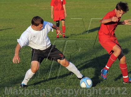 Thumbnail 2 in Antelope  @ Mira Loma photogallery.