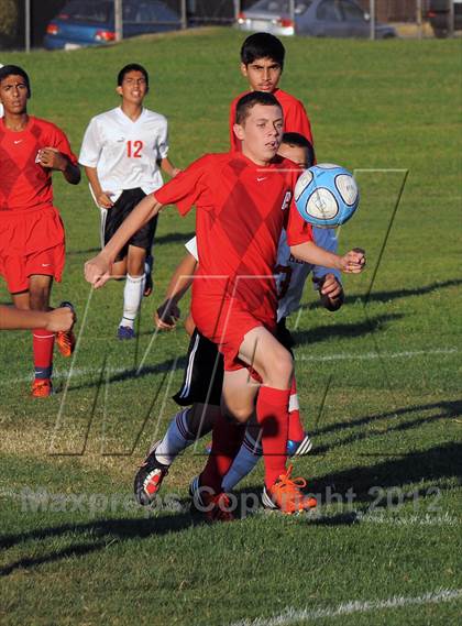 Thumbnail 3 in Antelope  @ Mira Loma photogallery.