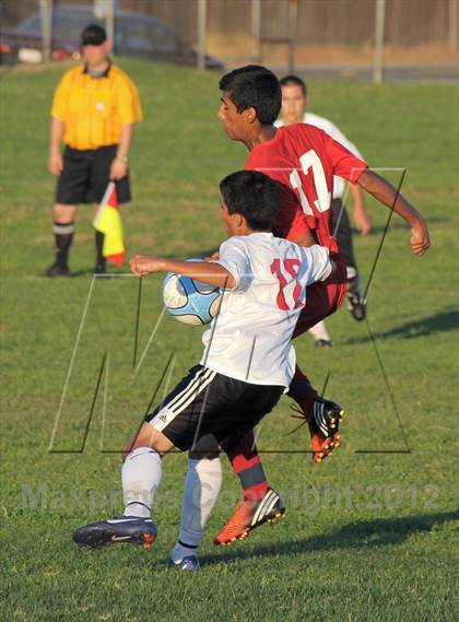 Thumbnail 3 in Antelope  @ Mira Loma photogallery.