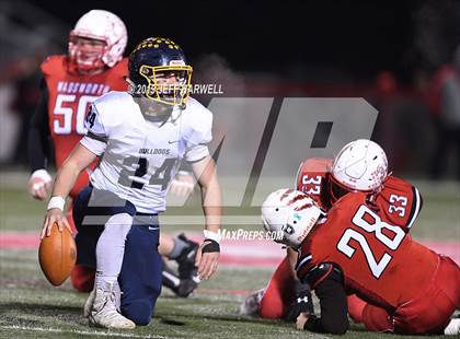 Thumbnail 1 in Olmsted Falls @ Wadsworth (OHSAA D2 Regional Quarterfinal) photogallery.