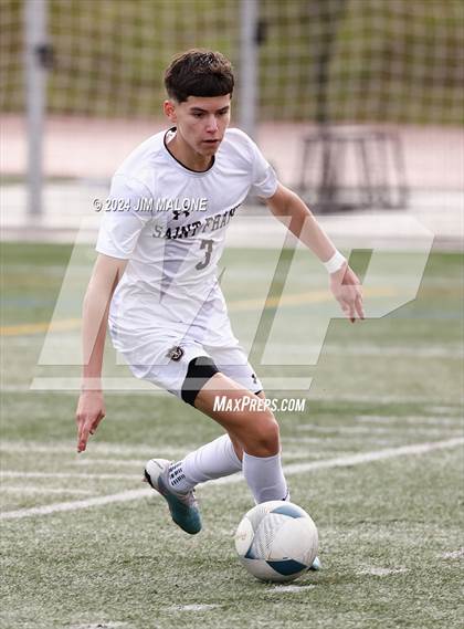 Thumbnail 2 in Saint Francis @ Archbishop Mitty (CIFState NorCal D1 Championship) photogallery.