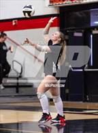 Photo from the gallery "Lapel vs. Sheridan"