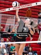 Photo from the gallery "Lapel vs. Sheridan"