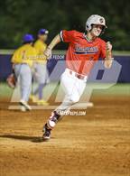 Photo from the gallery "Lennard @ Strawberry Crest (Saladino)"