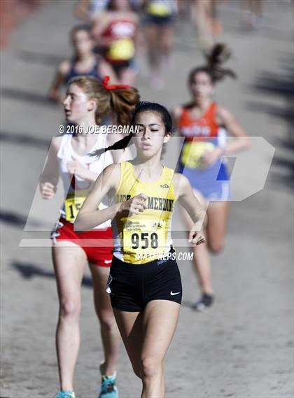 Thumbnail 1 in CIF State Cross County Championships (D5 Girls Race) photogallery.