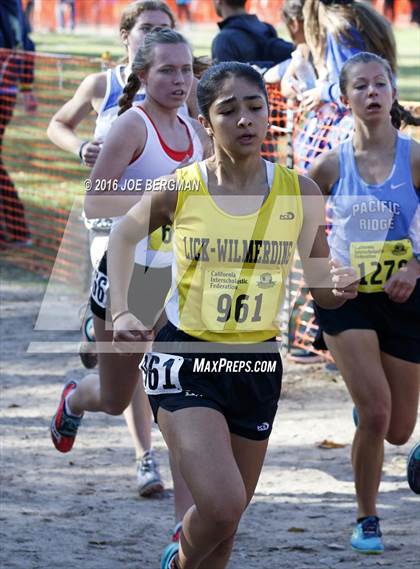 Thumbnail 3 in CIF State Cross County Championships (D5 Girls Race) photogallery.