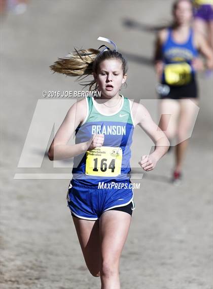 Thumbnail 3 in CIF State Cross County Championships (D5 Girls Race) photogallery.