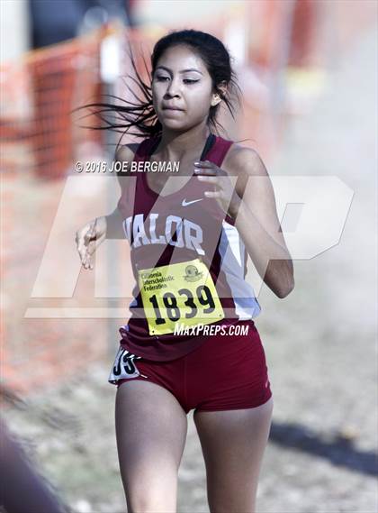 Thumbnail 1 in CIF State Cross County Championships (D5 Girls Race) photogallery.