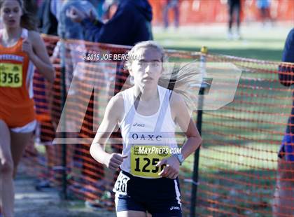 Thumbnail 1 in CIF State Cross County Championships (D5 Girls Race) photogallery.