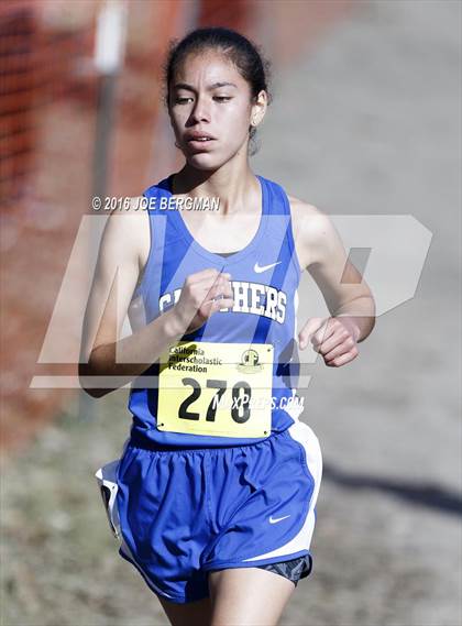 Thumbnail 1 in CIF State Cross County Championships (D5 Girls Race) photogallery.