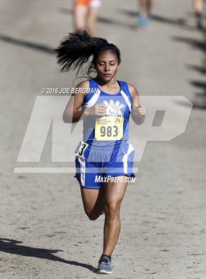 Thumbnail 1 in CIF State Cross County Championships (D5 Girls Race) photogallery.