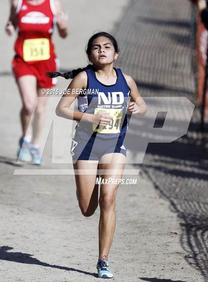 Thumbnail 3 in CIF State Cross County Championships (D5 Girls Race) photogallery.