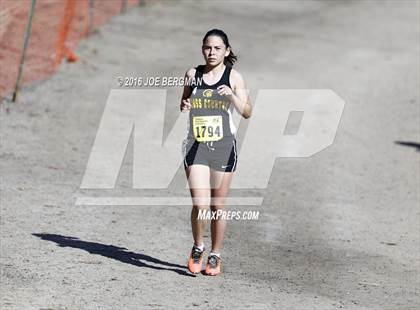 Thumbnail 1 in CIF State Cross County Championships (D5 Girls Race) photogallery.