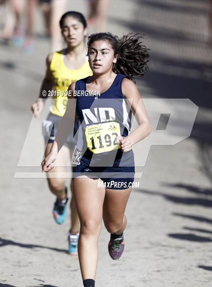 Thumbnail 2 in CIF State Cross County Championships (D5 Girls Race) photogallery.