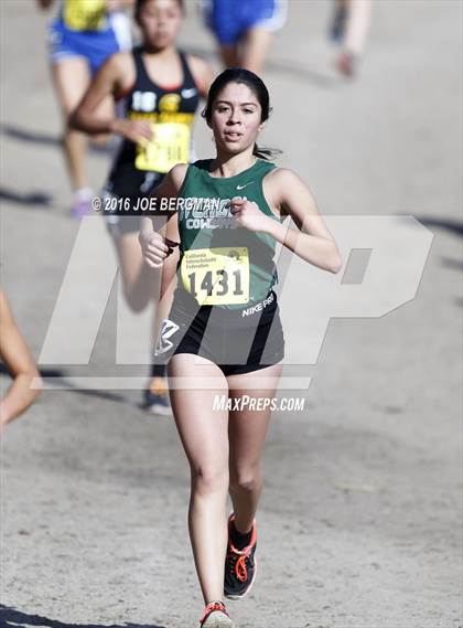 Thumbnail 2 in CIF State Cross County Championships (D5 Girls Race) photogallery.