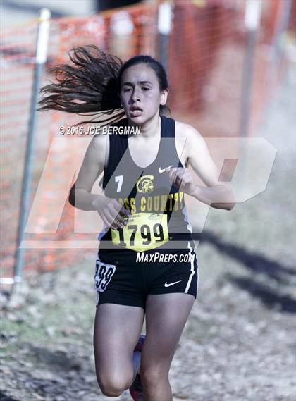Thumbnail 3 in CIF State Cross County Championships (D5 Girls Race) photogallery.