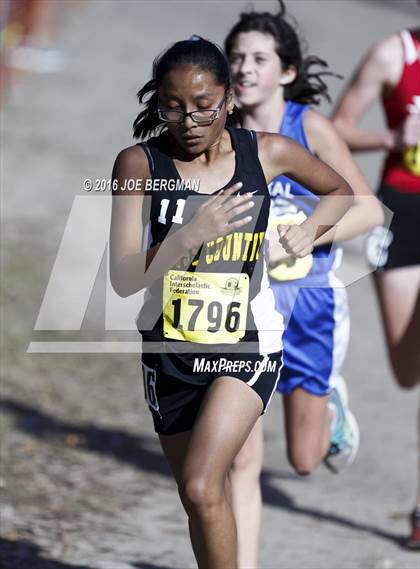 Thumbnail 1 in CIF State Cross County Championships (D5 Girls Race) photogallery.